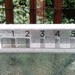 Rain Gage